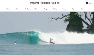 Webpage of EVOLVE FUTURE SHAPE